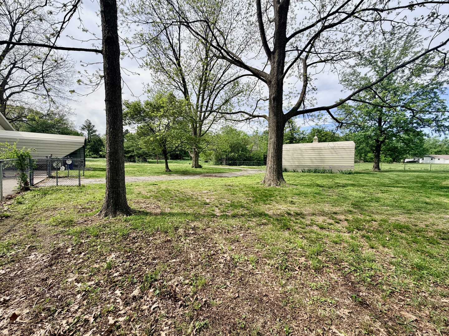 2123 North Avenue Metropolis, IL 62960 - Photo 14 of 49 a view of a park with large trees