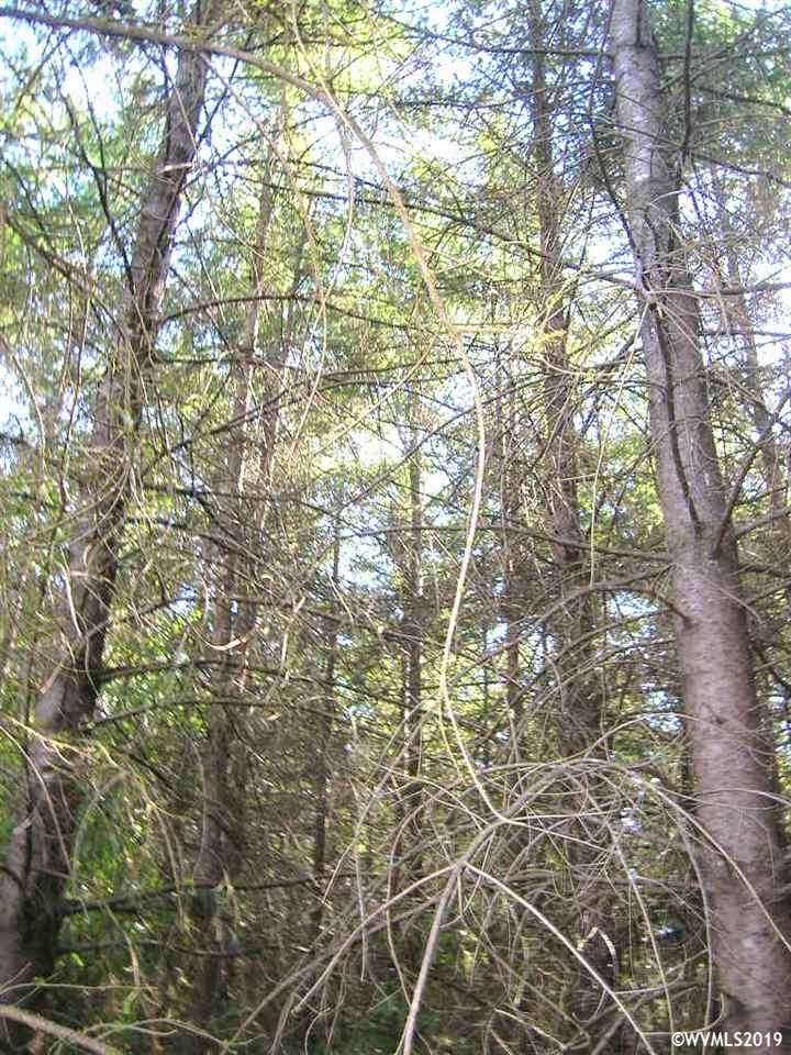 Robinette (lot 1) Road St. Helens, OR 97051 - Photo 10 of 13