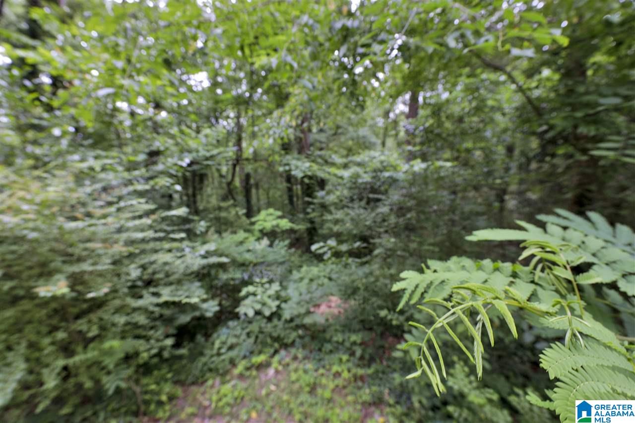 5205 Whippoorwill Road Birmingham, AL 35210 - Photo 5 of 44