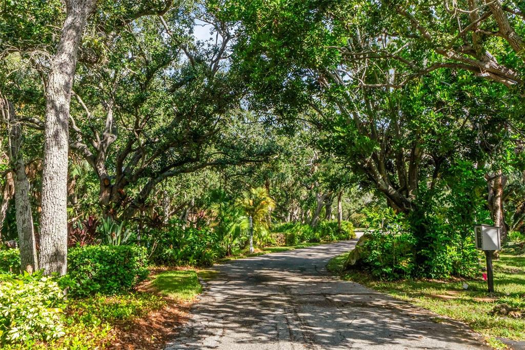 3420 Wild Oak Bay Boulevard, Unit 118 Bradenton, FL 34210 - Photo 32 of 40 a view of a street with a tree