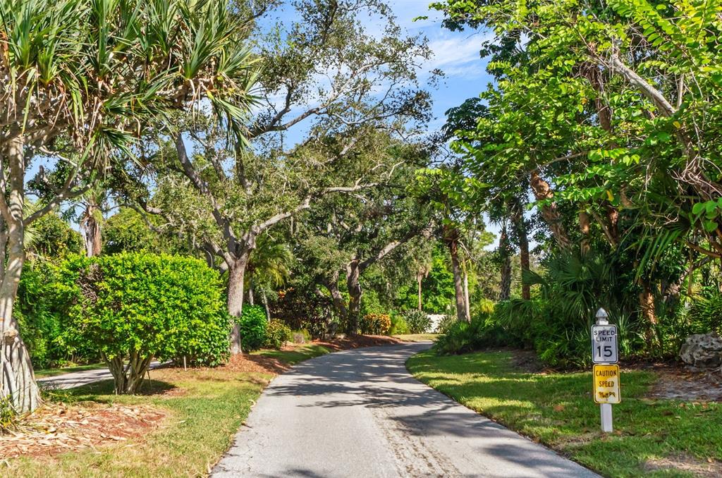 3420 Wild Oak Bay Boulevard, Unit 118 Bradenton, FL 34210 - Photo 33 of 40 a pathway of a yard