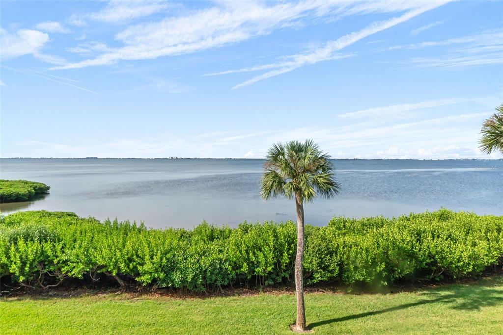 3420 Wild Oak Bay Boulevard, Unit 118 Bradenton, FL 34210 - Photo 4 of 40 a picture of plants