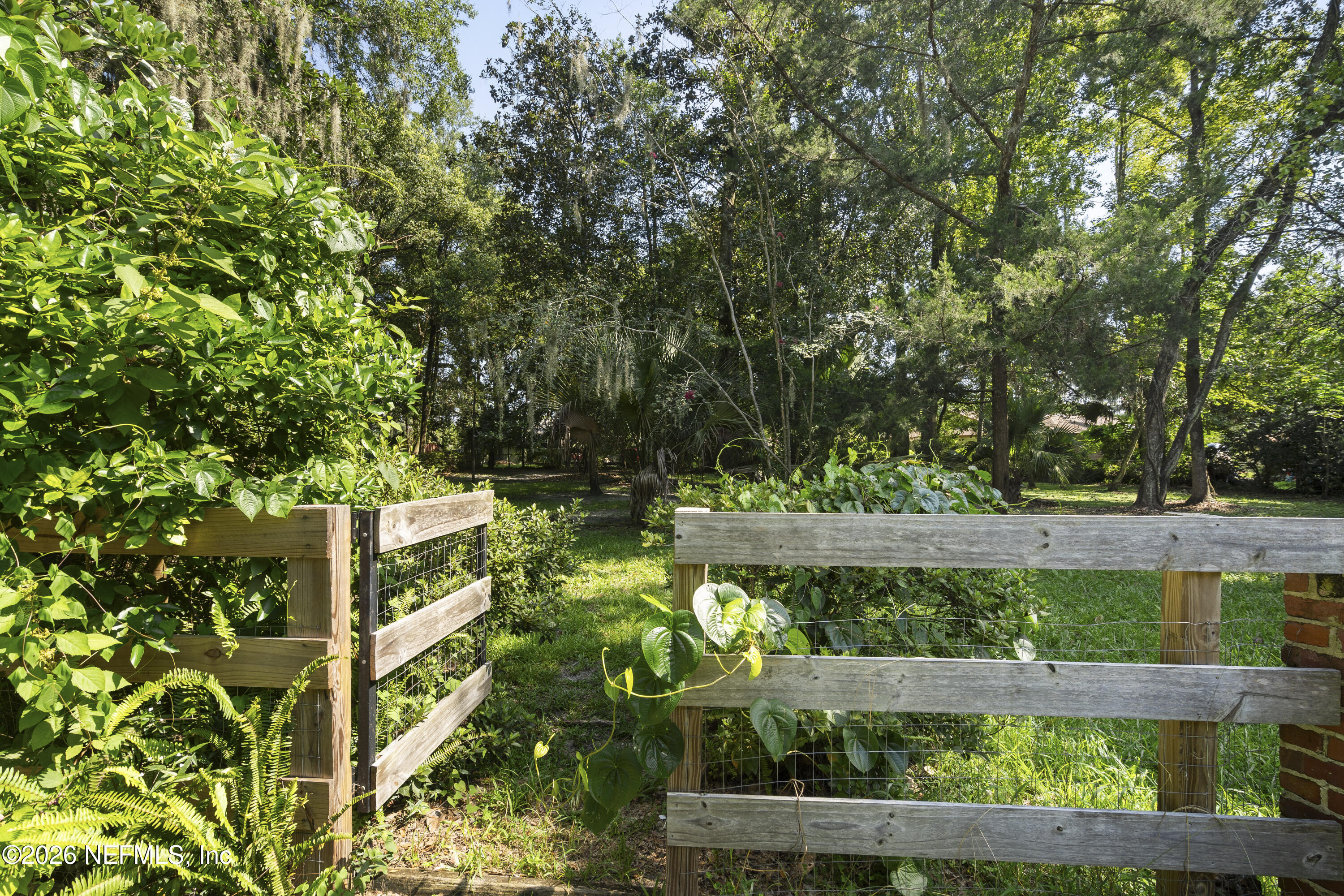1753 Jork Road Jacksonville, FL 32207 - Photo 38 of 39 DSC02177