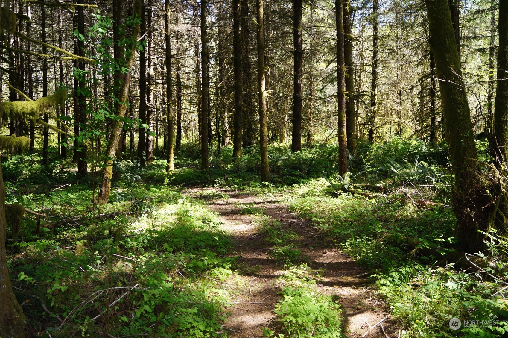 1.9 Garrard Creek Road Rochester, WA 98579 - Photo 5 of 11