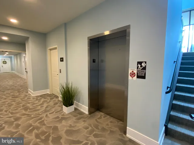 a view of entryway with wooden floor and a potted plant
