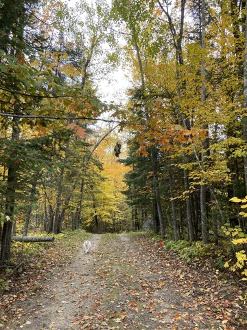 $339,900 | 31149 County Road 40, Effie, MN 56639