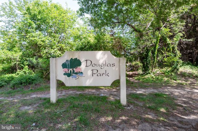 a view of a backyard with plants and trees