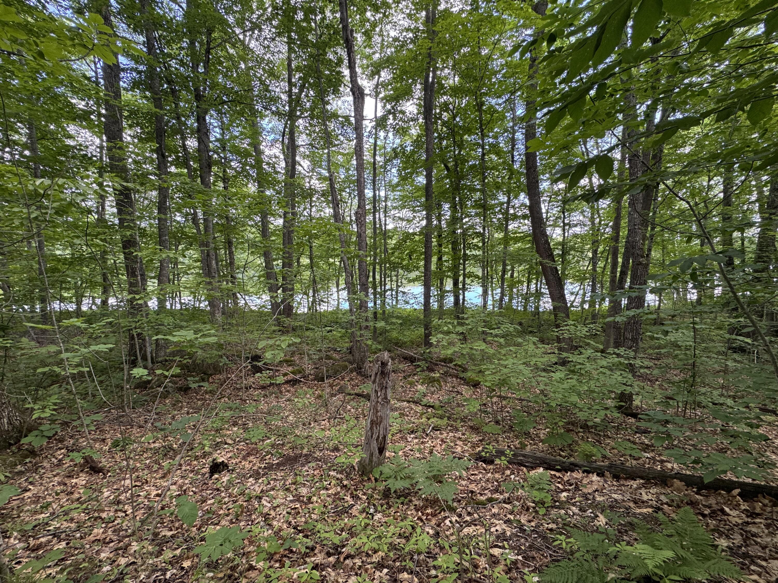 154 Highway 2 Kingman, ME 04451 - Photo 9 of 25 IMG_0120