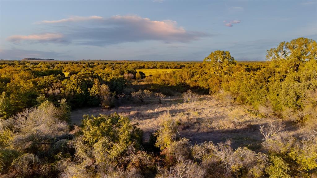 Tbd East Hackley Street Perrin, TX 76486 - Photo 7 of 29