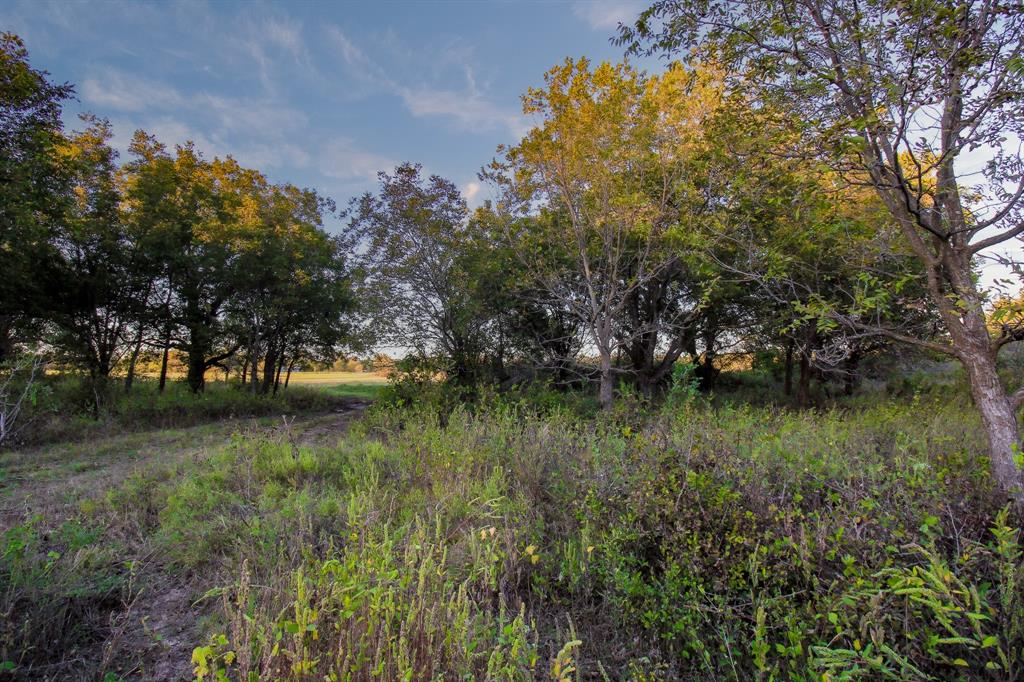 Tbd East Hackley Street Perrin, TX 76486 - Photo 10 of 29 a view of lake