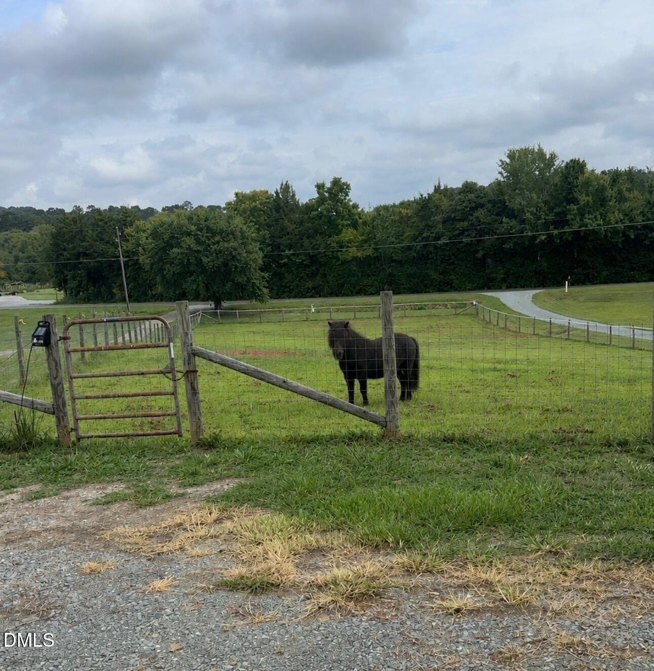 4872 Thom Road Mebane, NC 27302 - Photo 41 of 42 IMG_3523
