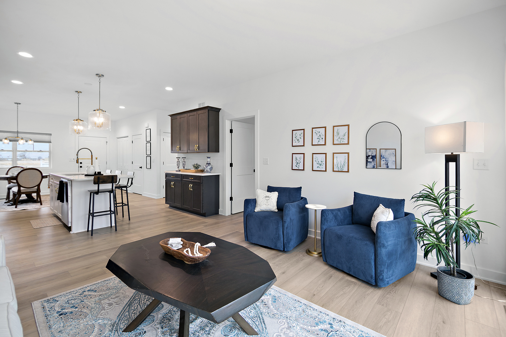 2050 Isabella Lane Minooka, IL 60447 - Photo 21 of 32 a living room with furniture potted plant and kitchen view