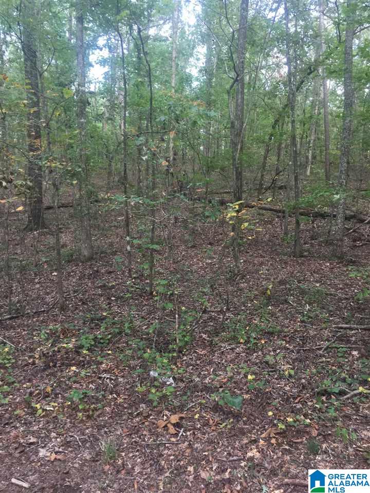 241 Sulphur Springs Road, Unit 9 89 ACRES Lincoln, AL 35096 - Photo 29 of 44