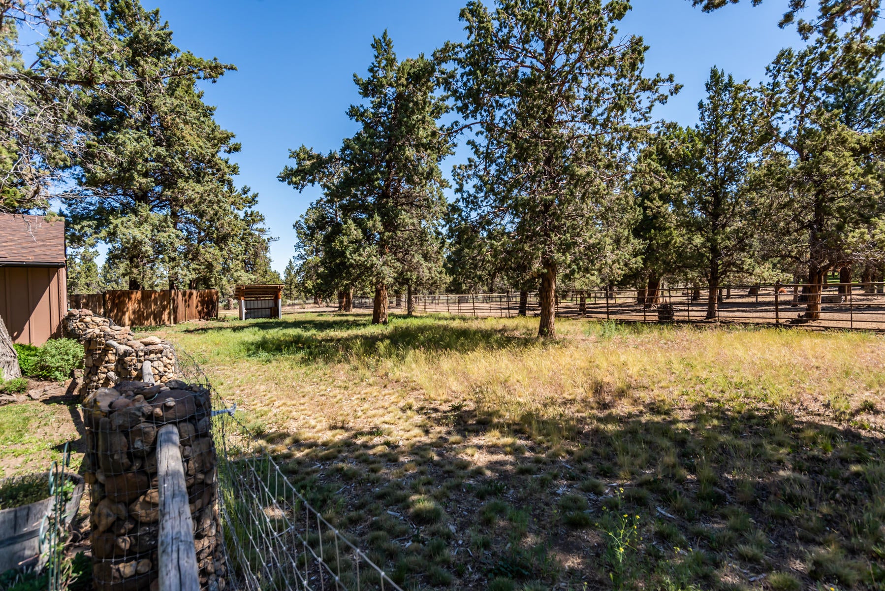 17478 Forked Horn Road Sisters, OR 97759 - Photo 51 of 62 Fenced pasture