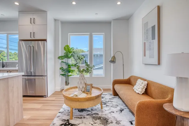a living room with furniture and a potted plant