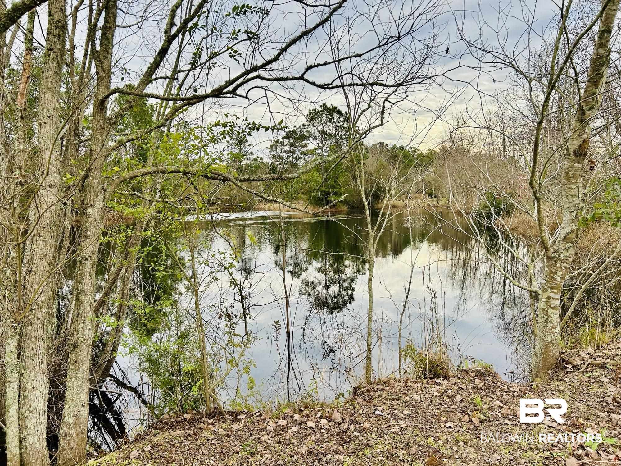 13551 Gaston Loop Road Grand Bay, AL 36541 - Photo 11 of 15 Property view of water