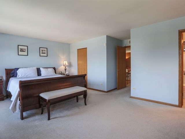 6212 Blue Ridge Drive Plainfield, IL 60586 - Photo 14 of 25