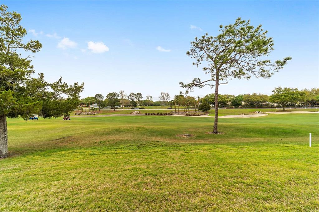 9299 Southwest 94th Loop Ocala, FL 34481 - Photo 14 of 64