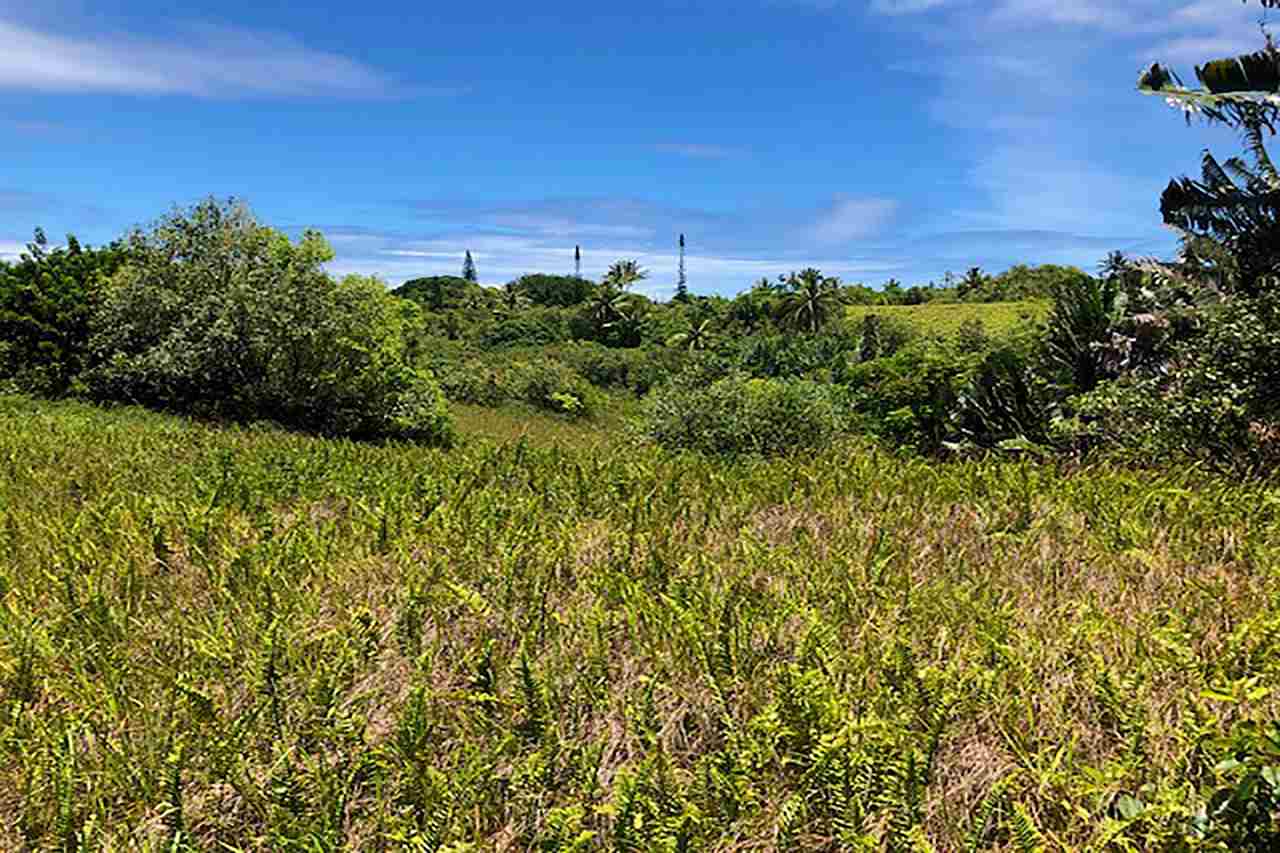 120 Hoolawa Road Haiku, HI 96708 - Photo 2 of 9 a view of a green field