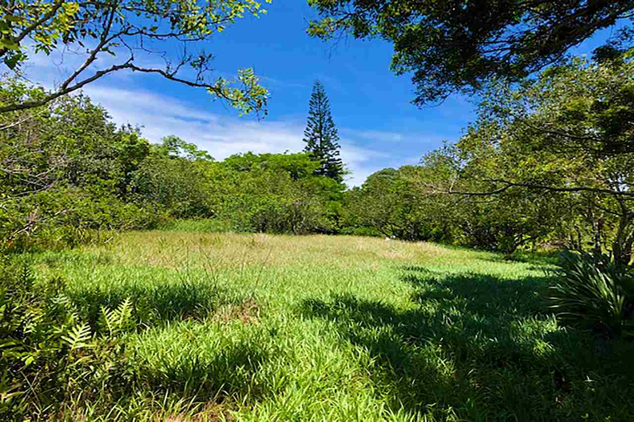 120 Hoolawa Road Haiku, HI 96708 - Photo 3 of 9 a view of a garden