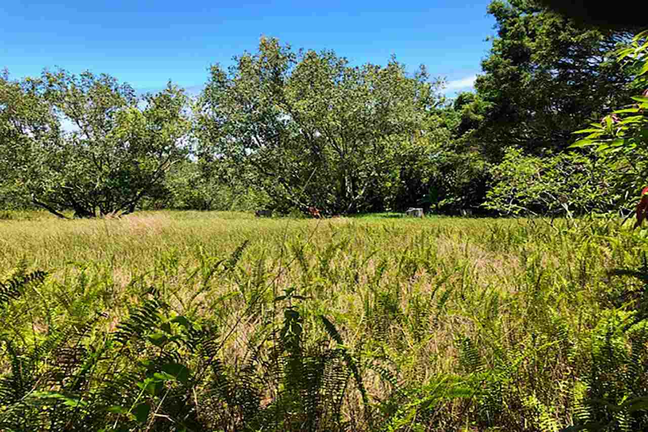 120 Hoolawa Road Haiku, HI 96708 - Photo 4 of 9