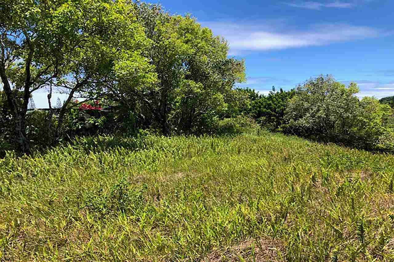 120 Hoolawa Road Haiku, HI 96708 - Photo 6 of 9 a view of a garden