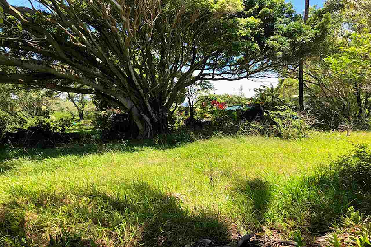 120 Hoolawa Road Haiku, HI 96708 - Photo 7 of 9 a view of swimming pool from a yard