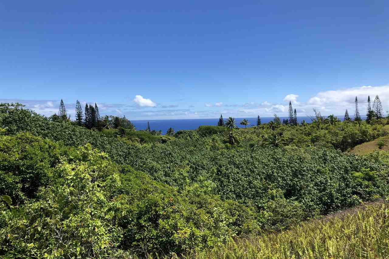 120 Hoolawa Road Haiku, HI 96708 - Photo 9 of 9 a view of a city