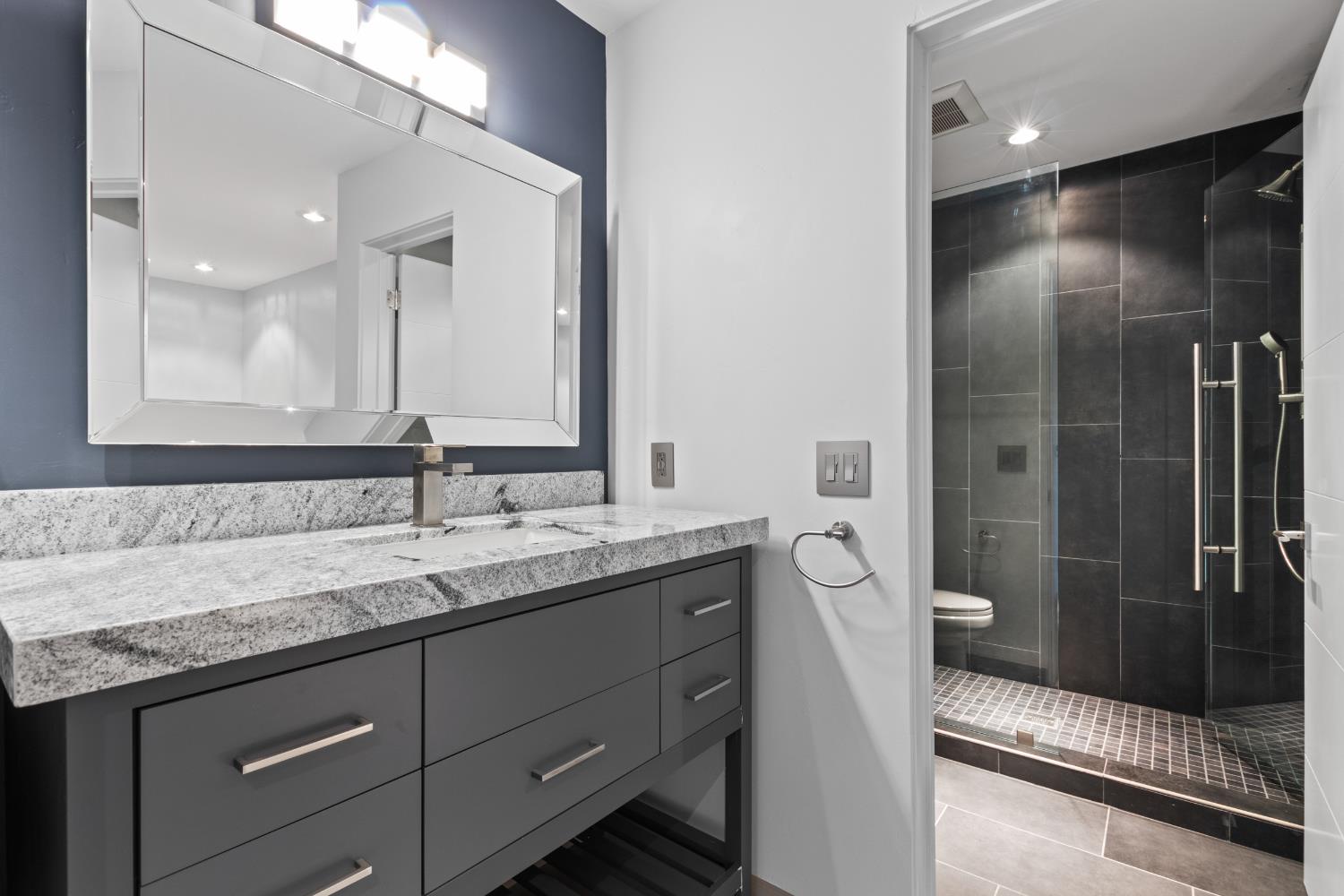 12100 Horseshoe Road Oakdale, CA 95361 - Photo 47 of 77 a bathroom with a granite countertop sink a toilet and shower
