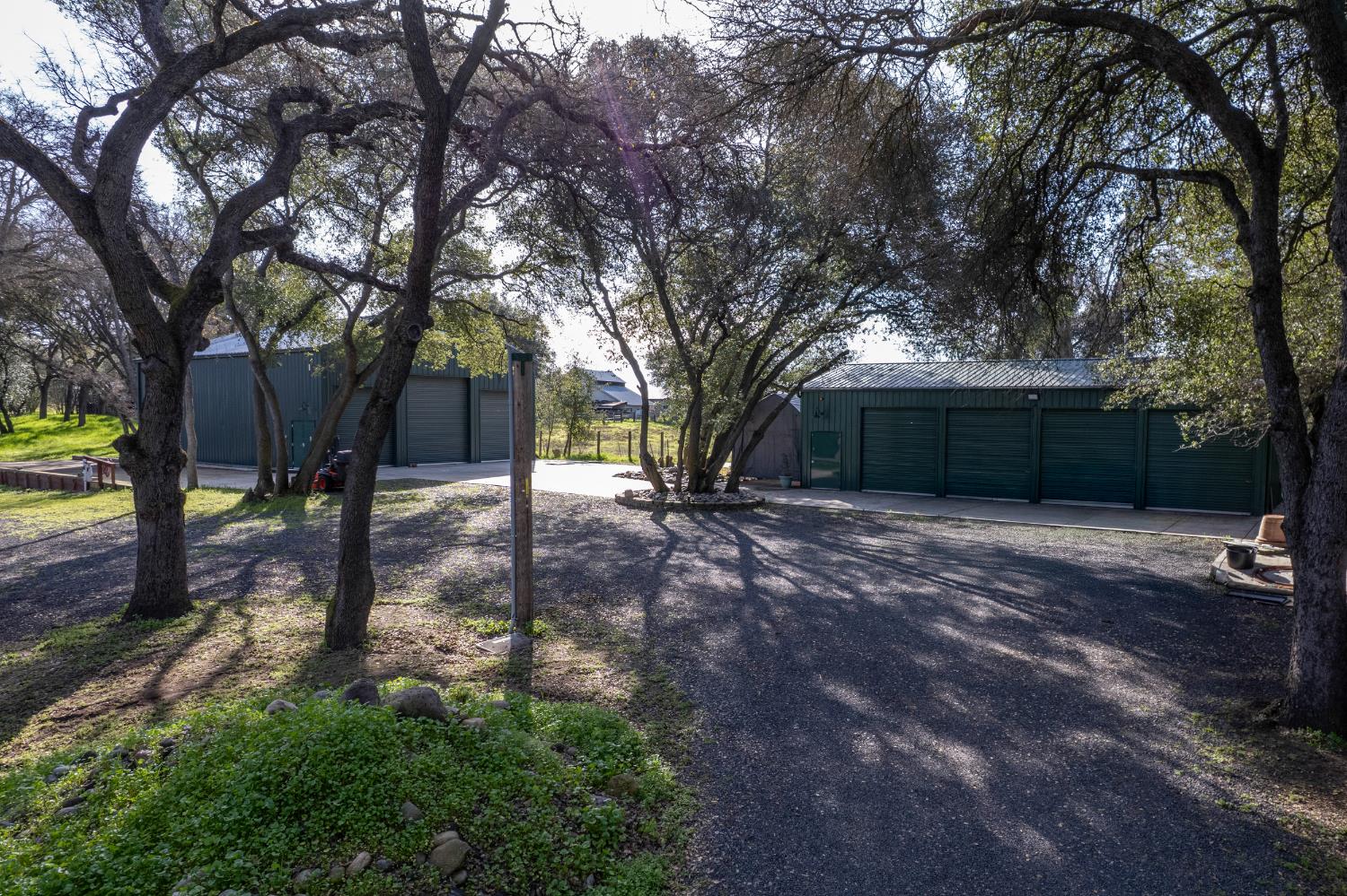 12100 Horseshoe Road Oakdale, CA 95361 - Photo 71 of 77 a view of a backyard with large trees