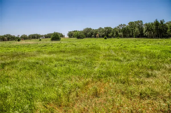 a view of a big yard with a large tree and a yard