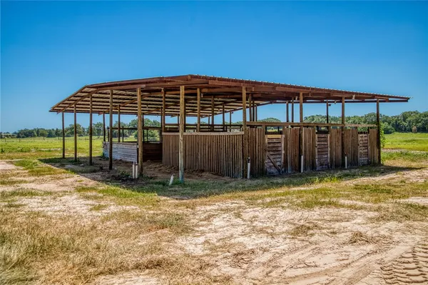 a view of a backyard with wooden fence