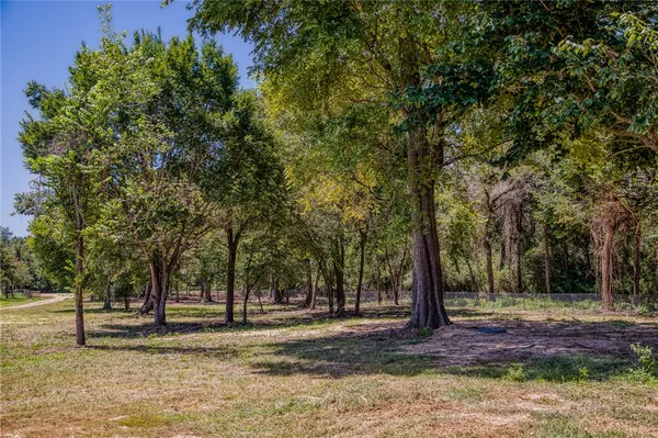 a view of a yard with large trees