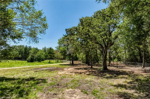 a view of outdoor space with trees all around