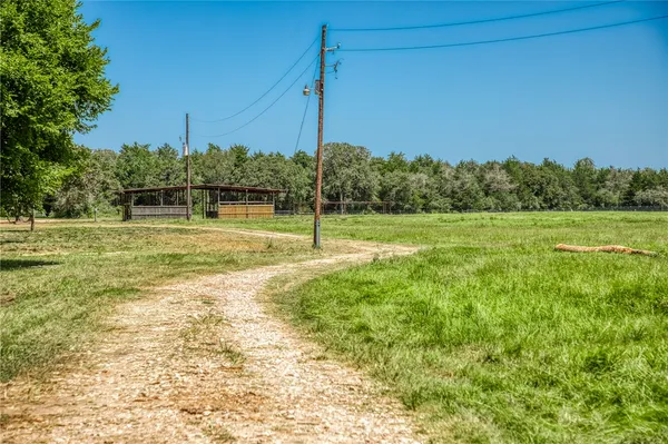 a view of a grassy field with trees in the background