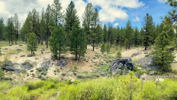 $4,980,000 | Tbd1 Harris Creek Road, Idaho City, ID 83631