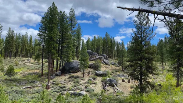 $4,980,000 | Tbd1 Harris Creek Road, Idaho City, ID 83631