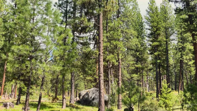 $4,980,000 | Tbd1 Harris Creek Road, Idaho City, ID 83631