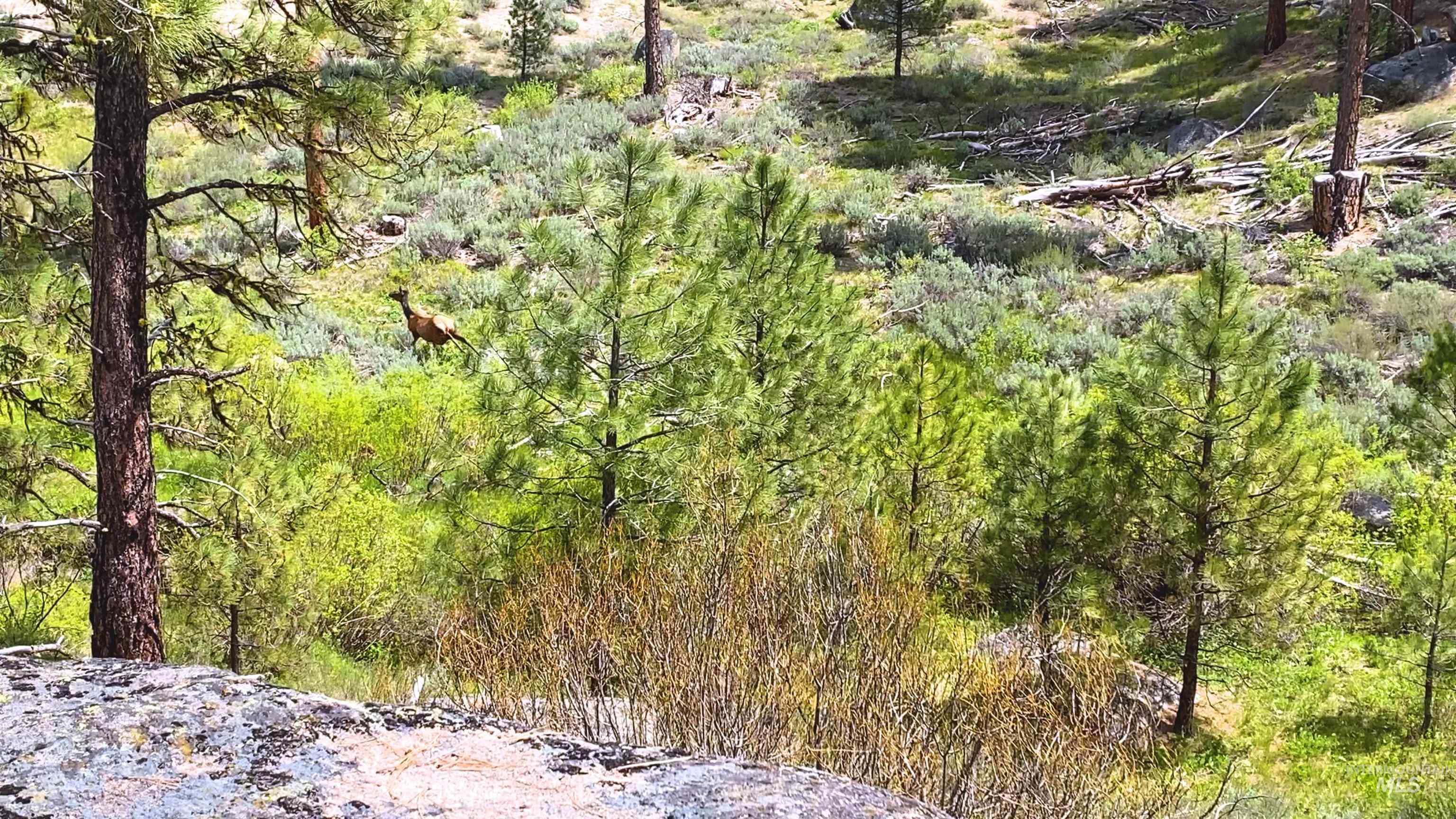 Tbd1 Harris Creek Road Idaho City, ID 83631 - Photo 10 of 10