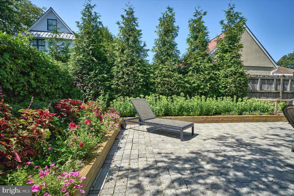 60 Humbert Street Princeton, NJ 08542 - Photo 42 of 44 a view of a garden with flowers and trees