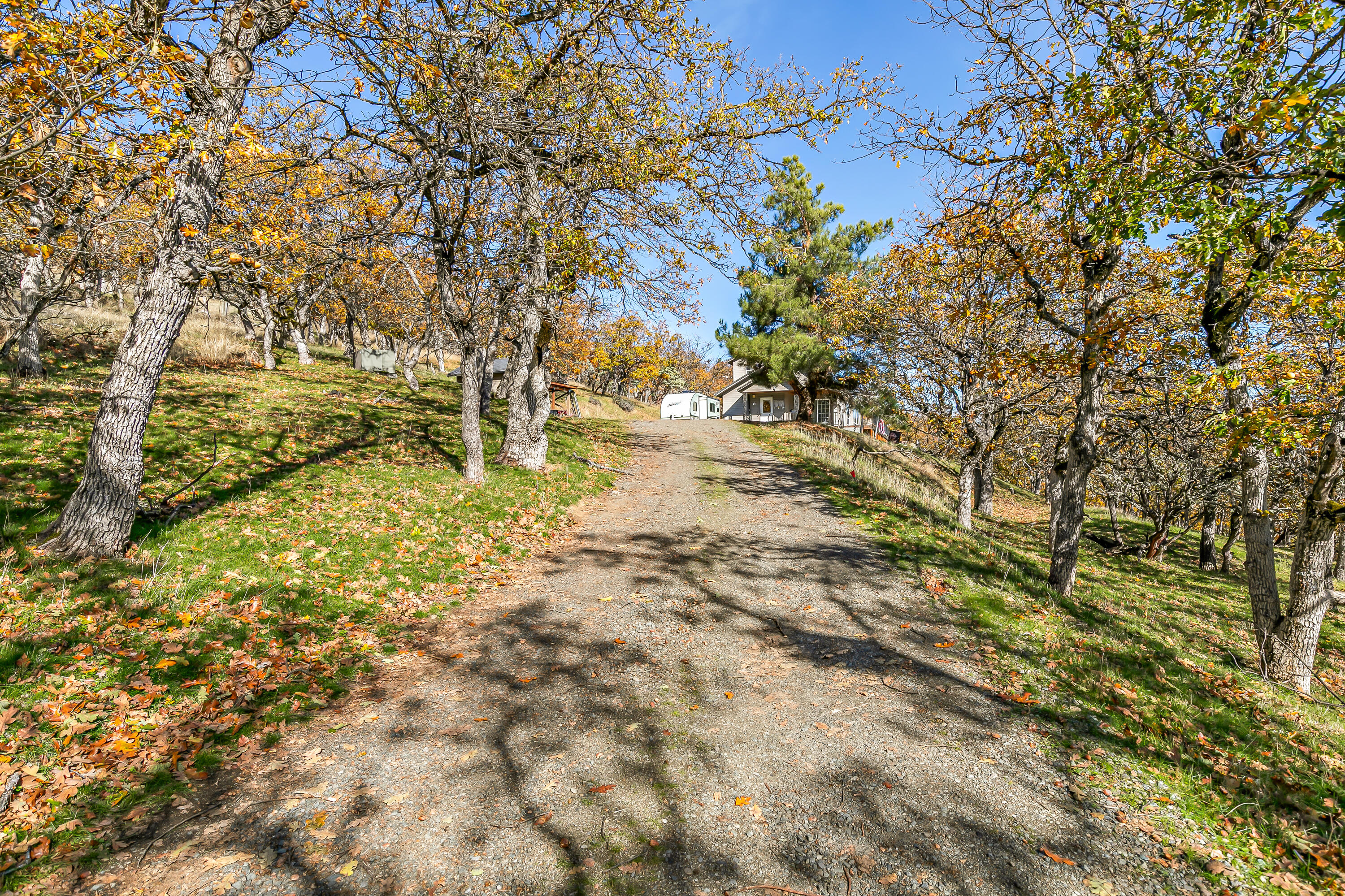 5977 Dark Hollow Road Medford, OR 97501 - Photo 27 of 38 9R9A9989