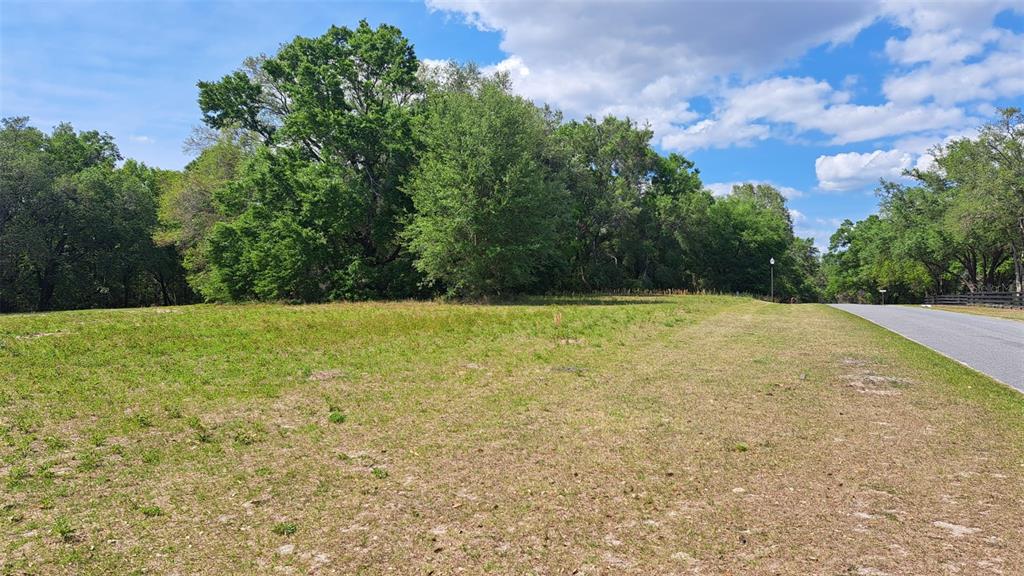 0 Southeast 101st Ct Road Belleview, FL 34420 - Photo 2 of 6