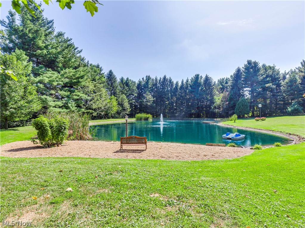 4690 Blake Road Seville, OH 44273 - Photo 3 of 35 3/4 acre lake with dock and fountain