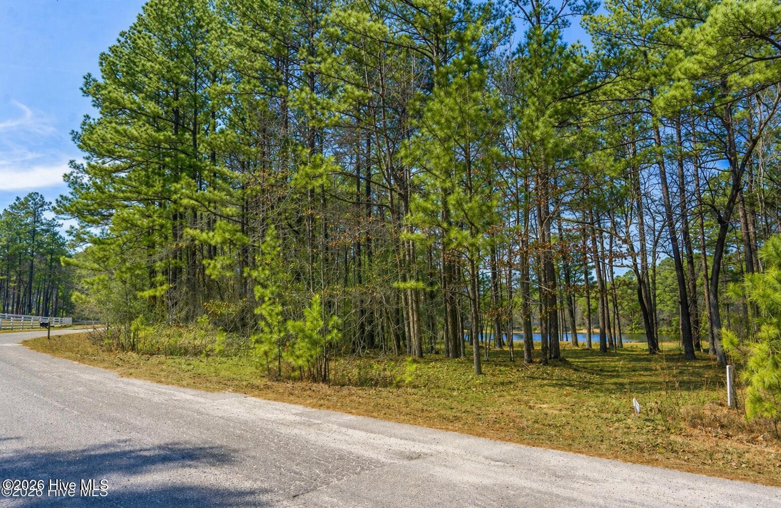 305 P852 Aberdeen, NC 28315 - Photo 5 of 12 3E27548C-E389-487B-90E3-49B4A4F1D95E