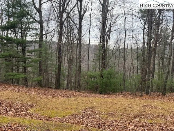 a backyard of a house with large trees