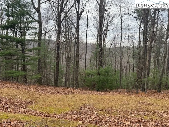 a backyard of a house with large trees