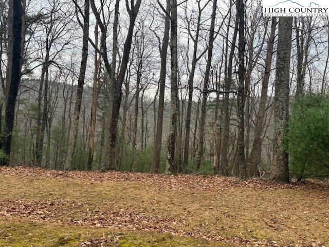 Jobs Road Millers Creek, NC 28651 - Photo 2 of 6 a backyard of a house with large trees