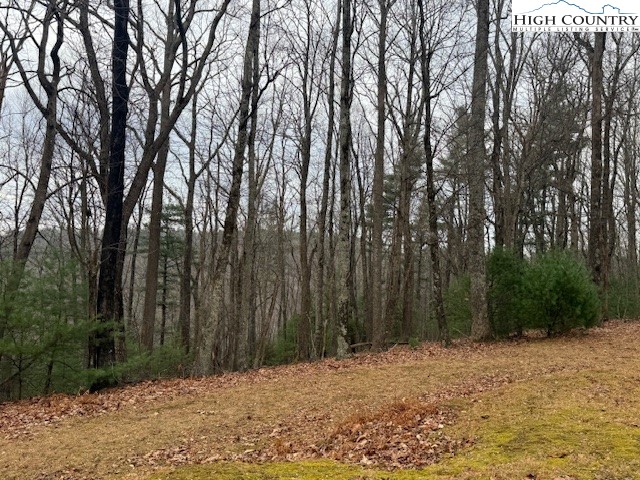 Jobs Road Millers Creek, NC 28651 - Photo 3 of 6 a wooden fence covered with trees