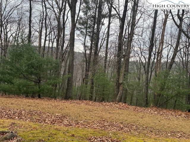 Jobs Road Millers Creek, NC 28651 - Photo 4 of 6