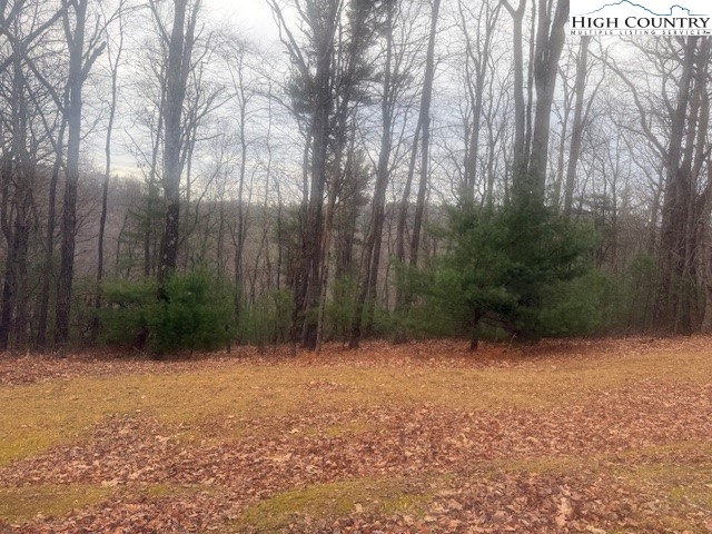 Jobs Road Millers Creek, NC 28651 - Photo 5 of 6 a view of backyard with green space